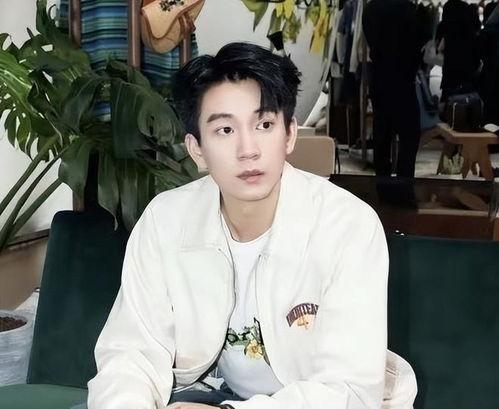 王子奇恋情爆料最新视频,甜蜜互动引网友热议  第1张