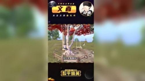 和平精英文西最新爆料,最新爆料揭秘游戏幕后故事